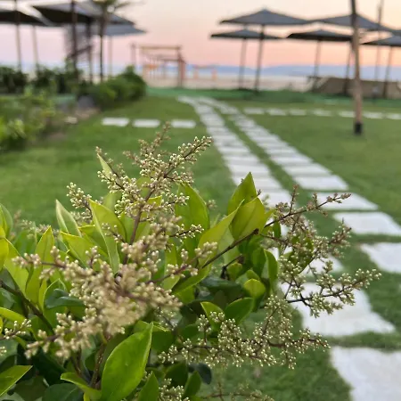 Studio 33 - A Lovely Place In Paralia شقة *